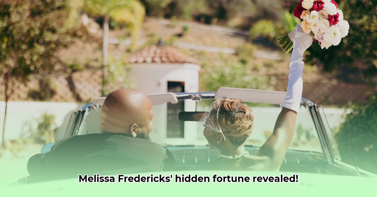 melissa-fredericks-net-worth